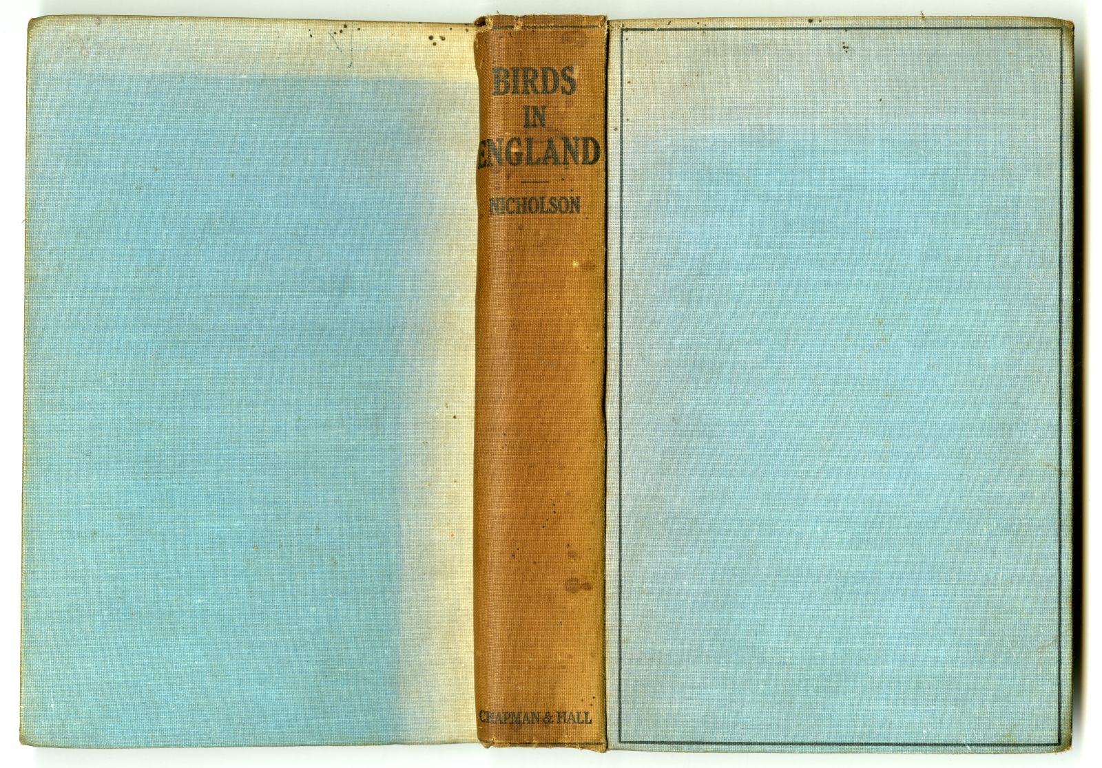 『BIRDS IN ENGLAND』（1926年、CHAPMAN AND HALL） の表紙